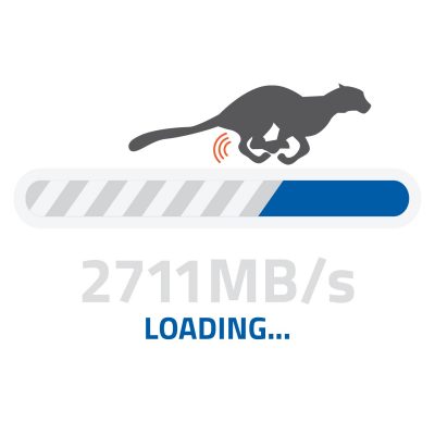 Speed 2711MB/s